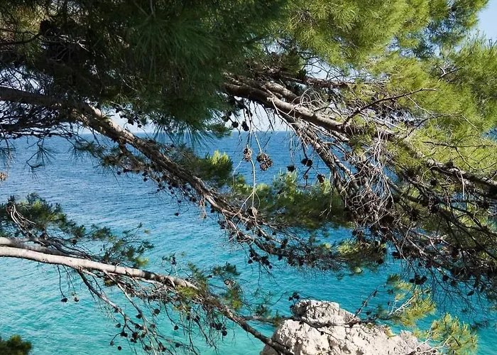 Daire Saric *