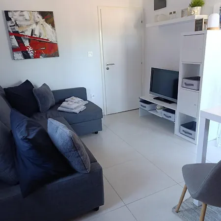 Fewo Saric Vir Apartment Vir