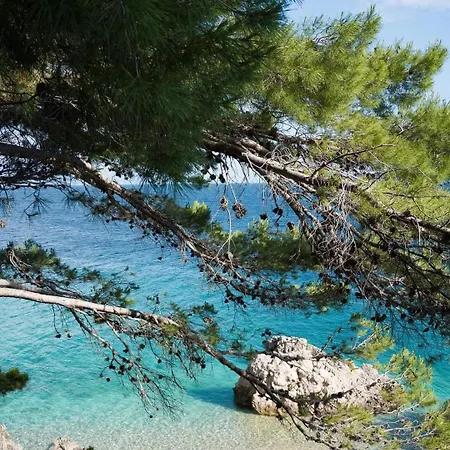 Апартаменты Saric *